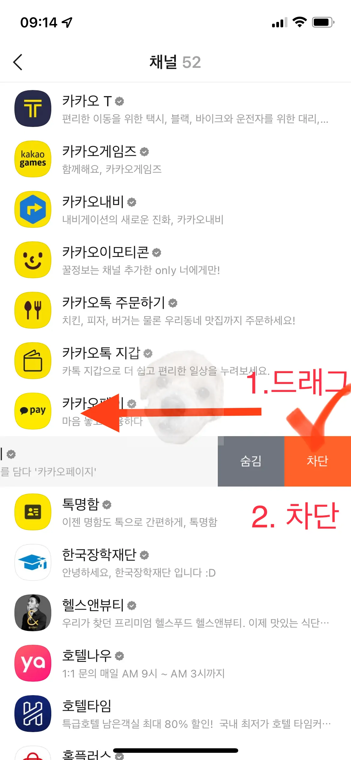 카카오톡 채널 한번에 차단하는 방법