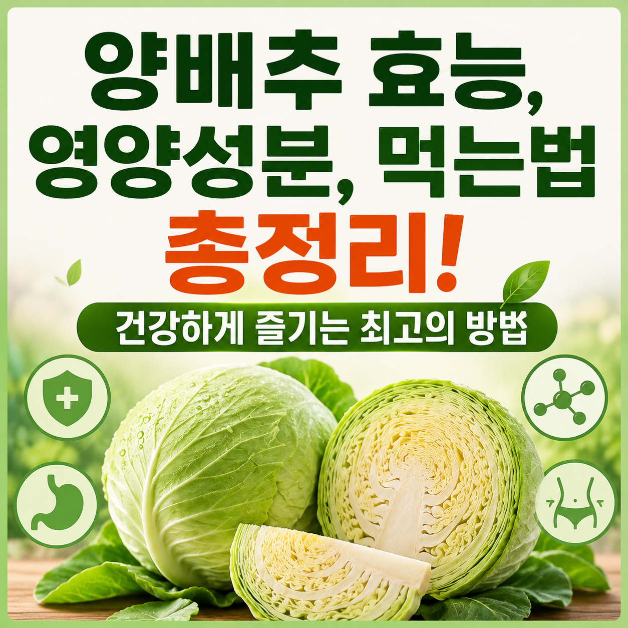 양배추 효능