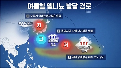 여름철 엘니뇨 발달경로