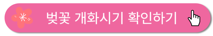 벚꽃-개화시기-확인하기