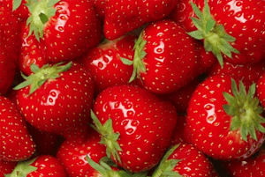 고지혈증에 좋은 음식17