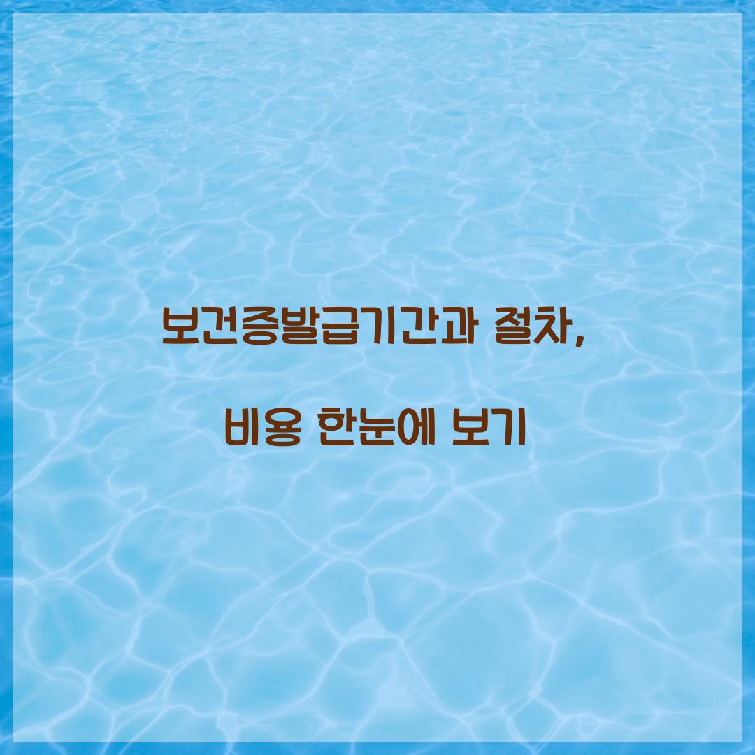 보건증발급기간