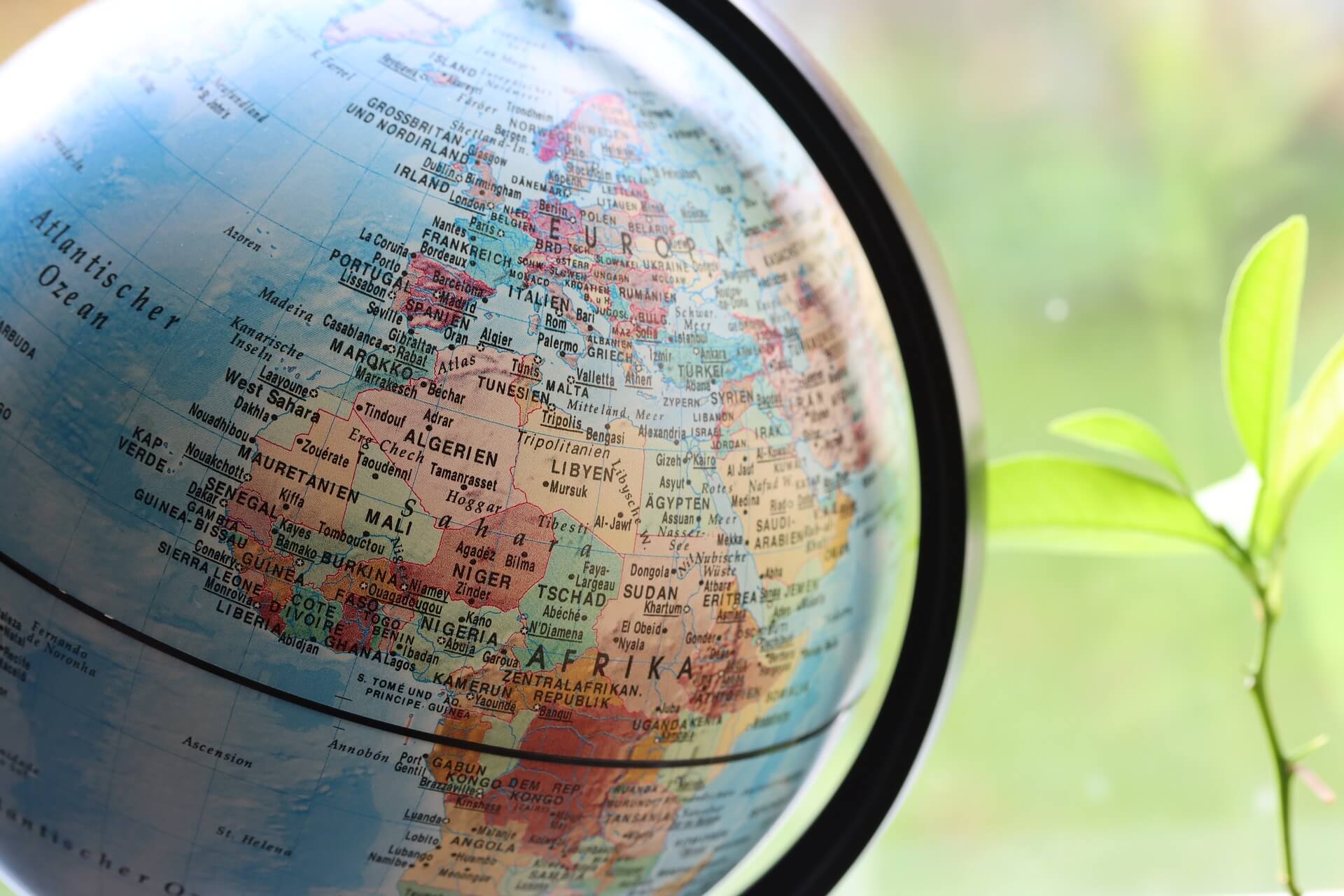 지역 기반 시장에서만 존재하는 미시적 희귀템이 글로벌 프리미엄을 만드는 이유