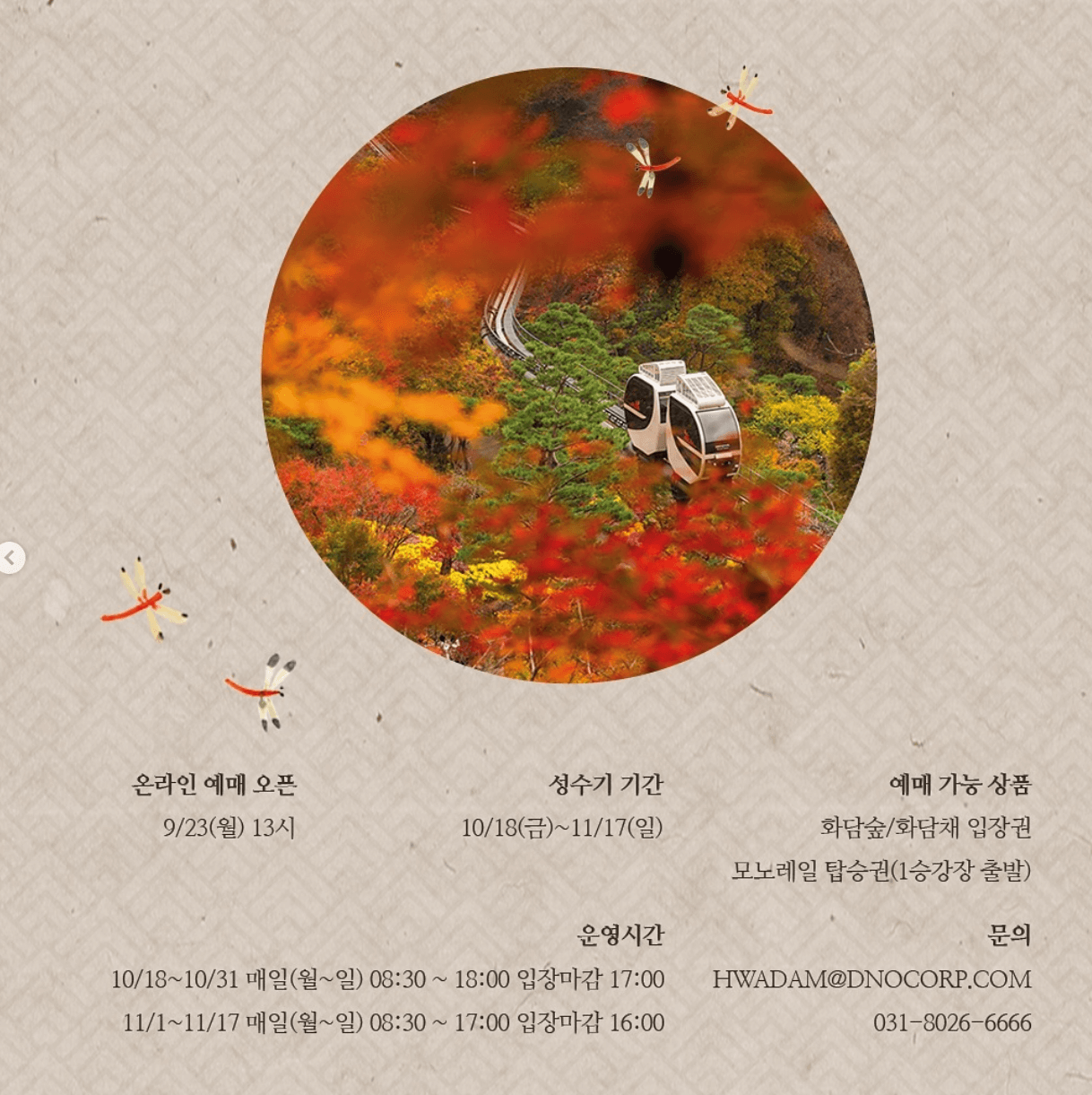 화담숲 단풍시기