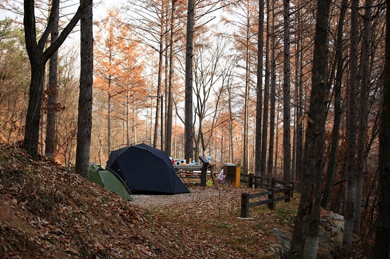 강원도 국립 화천숲속야영장 소개
