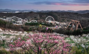 문화누리카드 놀이동산 자유이용권 구매방법 참고 이미지 36