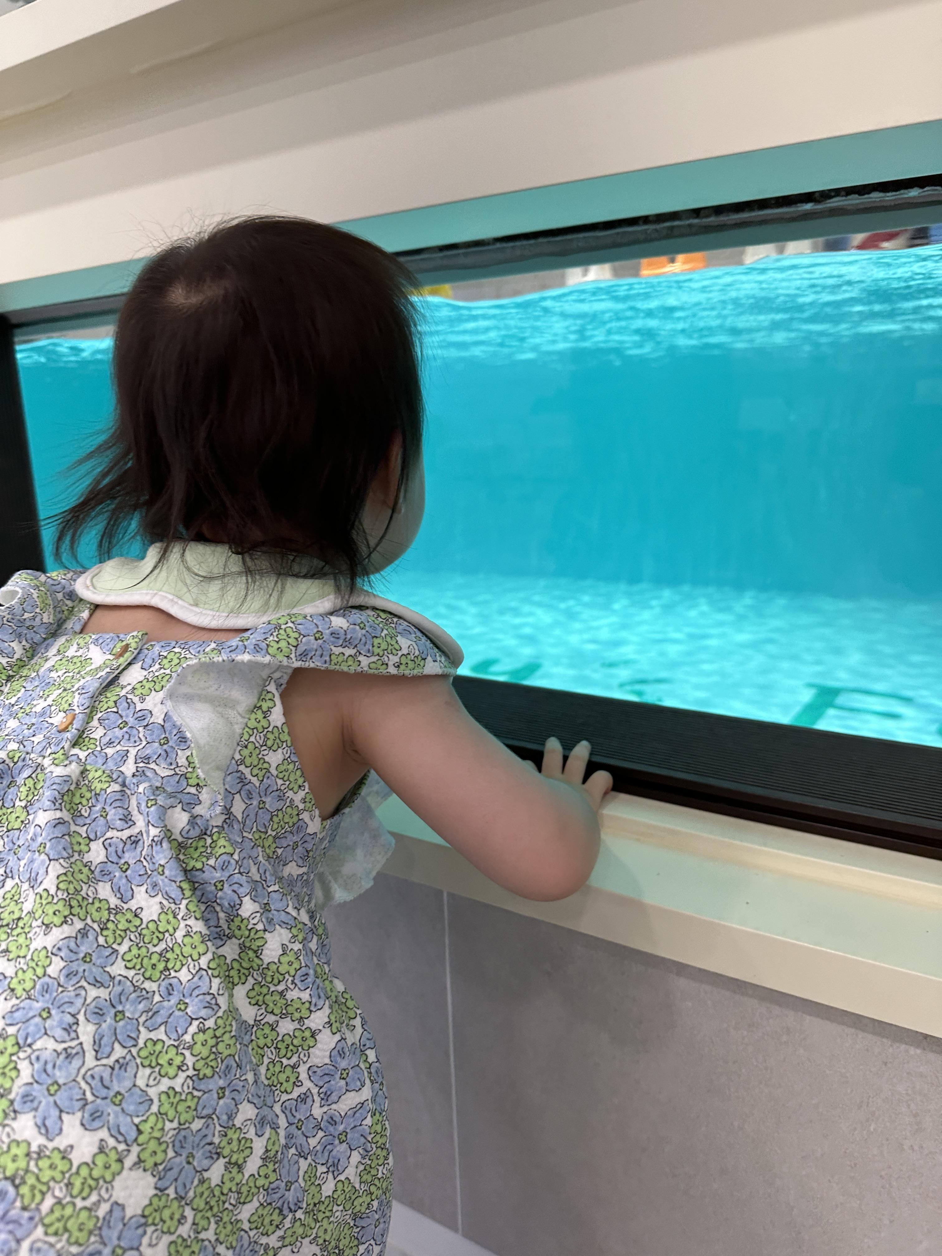 메리스포레스트 / 메리스포레스트 위례 / 실내키즈풀 / 실내 해수풀 / 해수풀장 / 키즈풀장 / 아기랑 