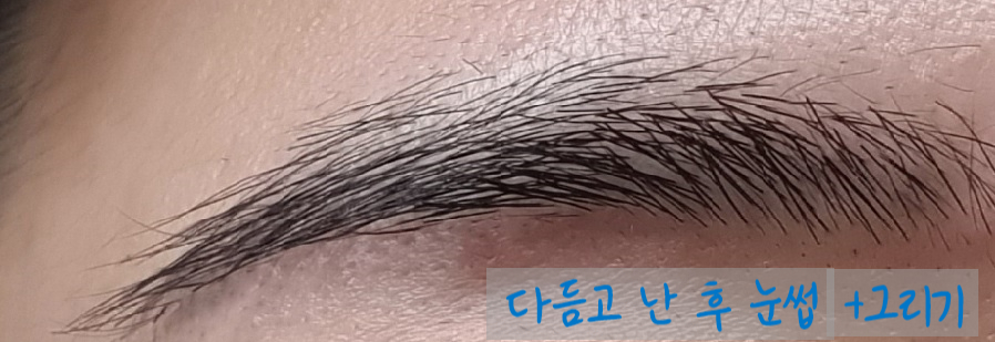 남자 아이브로우