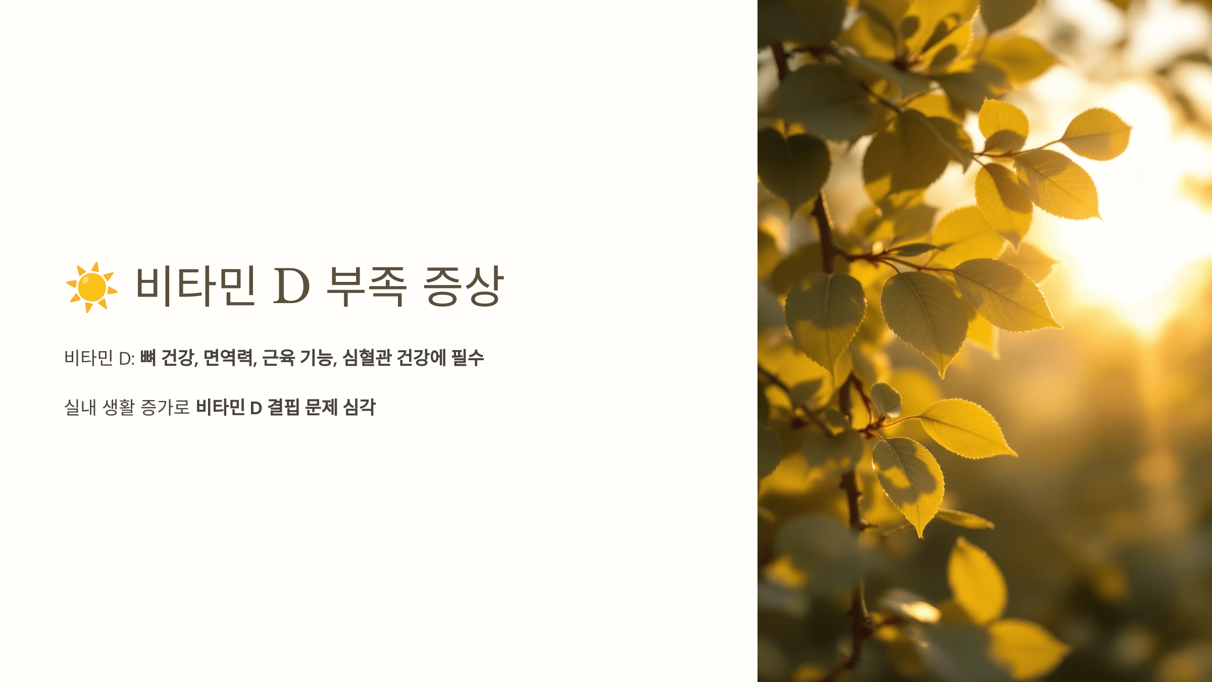 비타민D와 관련된 사진입니다.