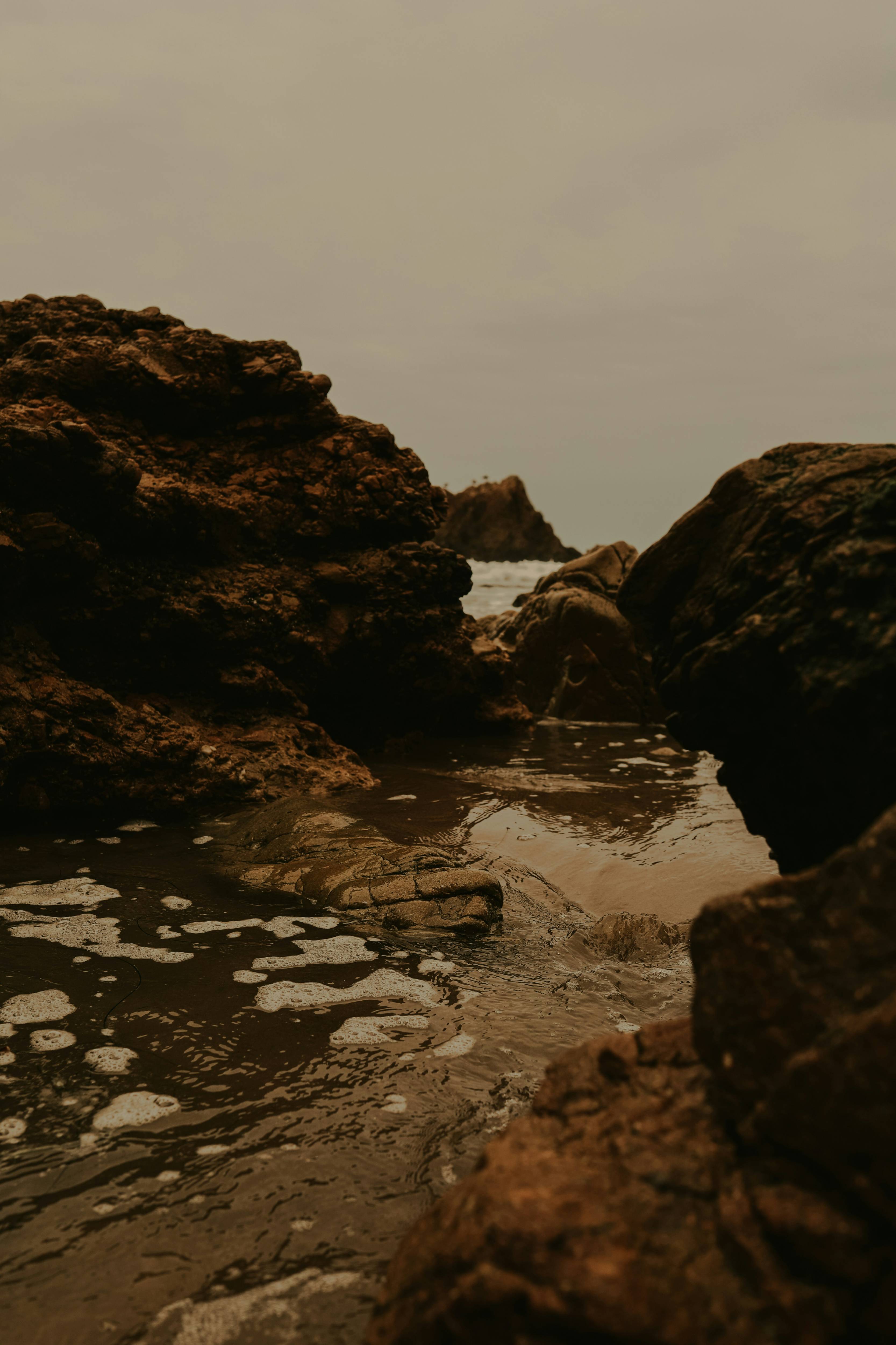 홍합 바다 이미지