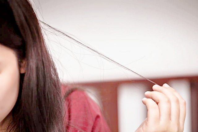 염색 파마 열펌 고데기 머리 손상 확인하는 방법, 뷰티 생활 건강 팁줌 매일꿀정보