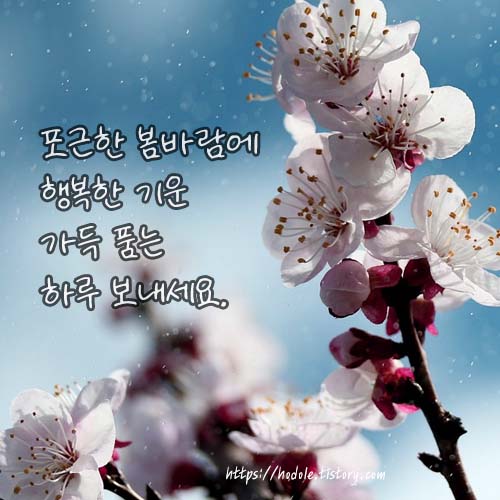 포근포근