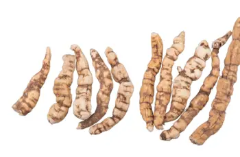 백수오 효능 및 영양성분&amp;#44; 주의점