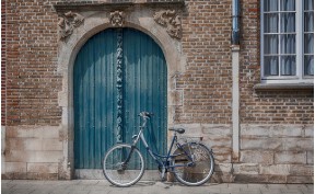 산불 피해 지역 기부 방법 (고향 사랑 e음)관련사진 