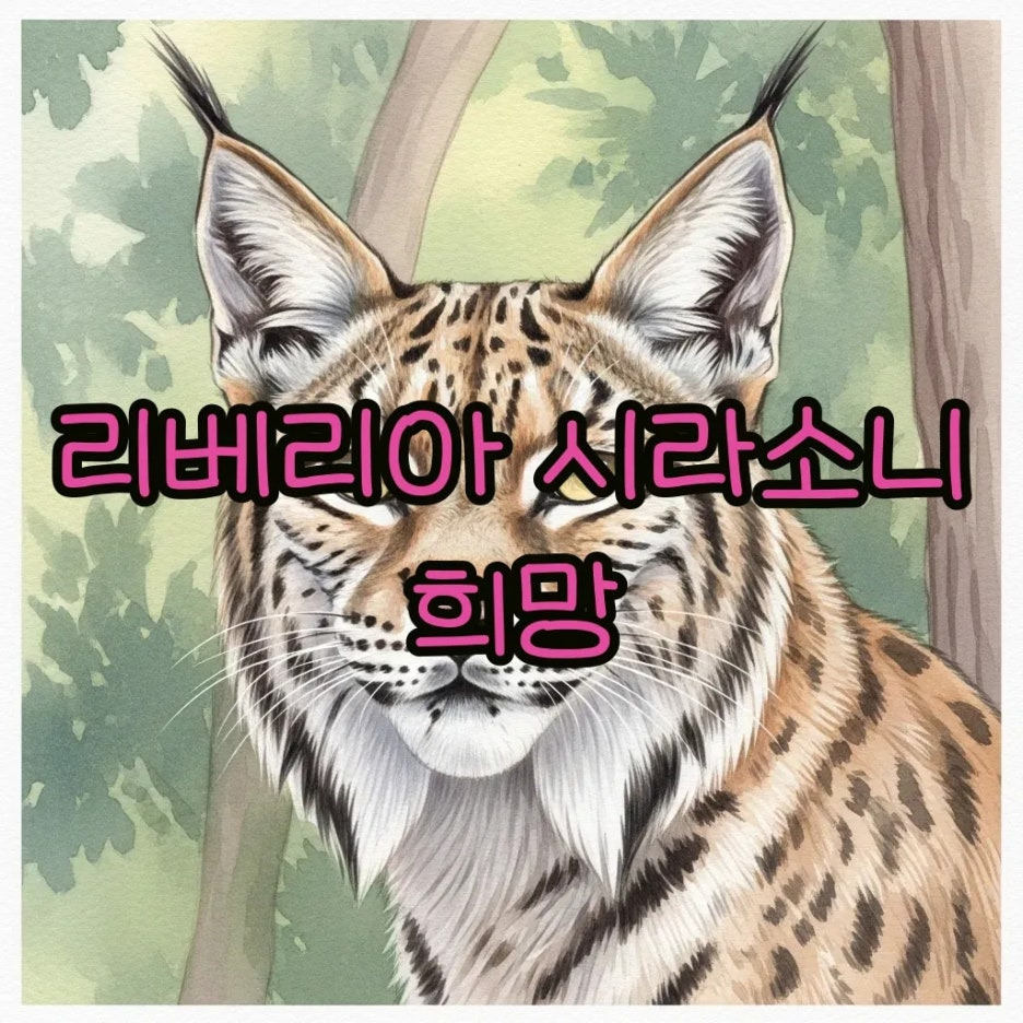 숲속에서 희망을 응시하는 리베리아 시라소니