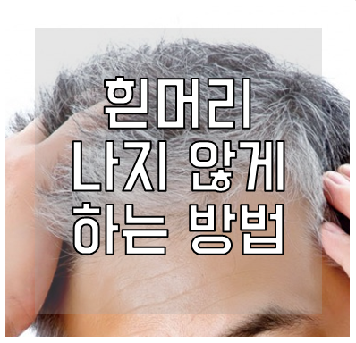 흰머리