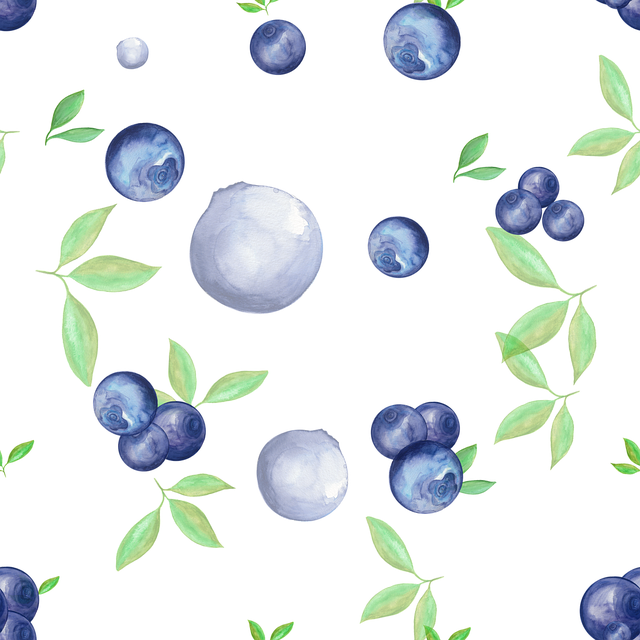 블루베리 효능 부작용 1분 요약