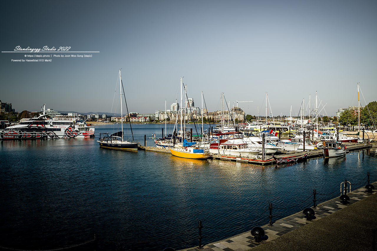 #캐나다 #밴쿠버섬 #호텔 #의사당 #부차드가든 #캐나다여행