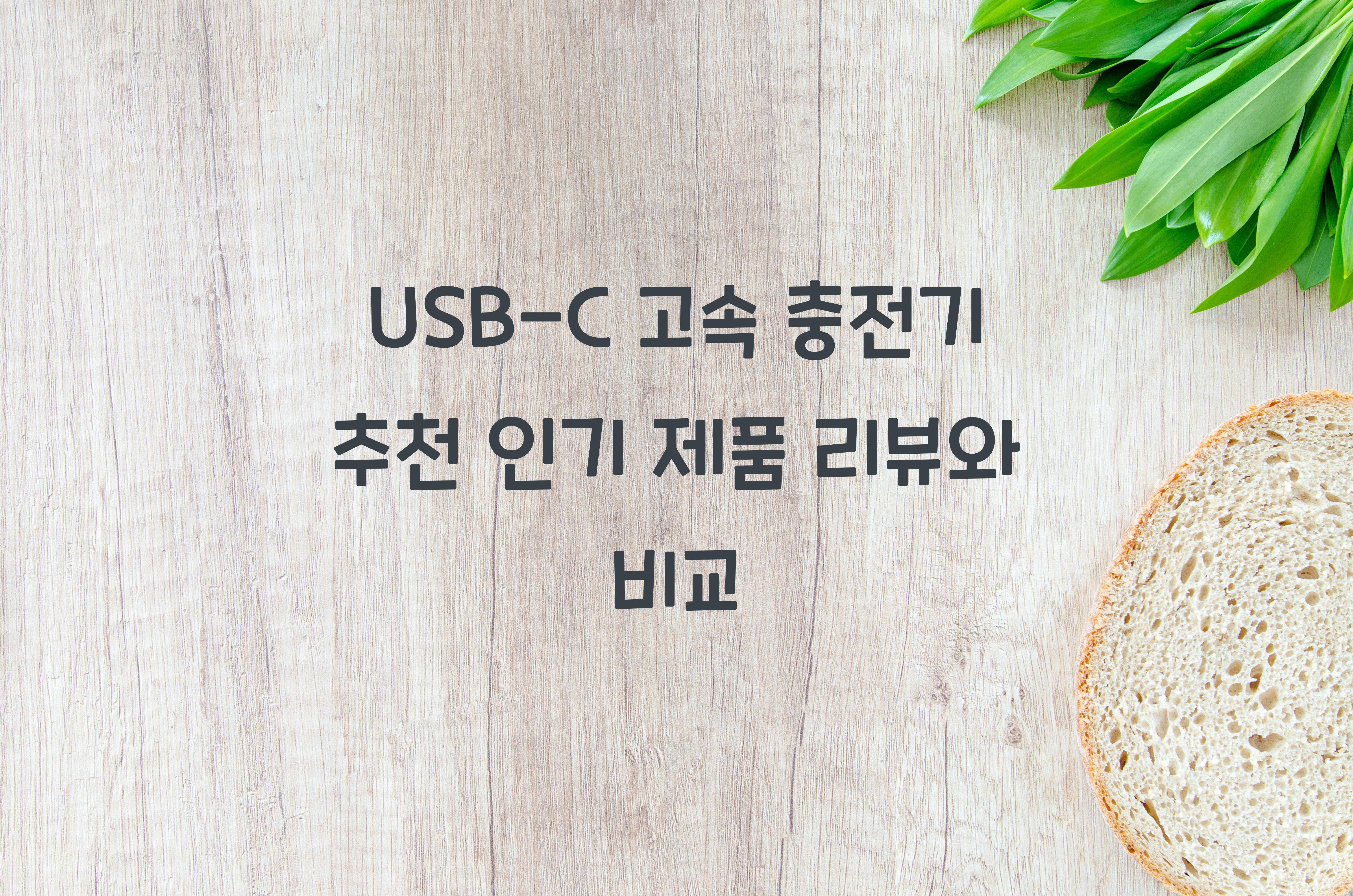 USB-C 고속 충전기 추천