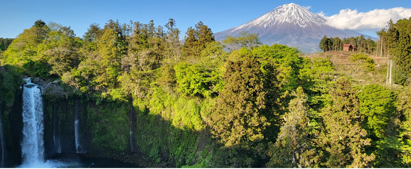 오토도메폭포 옆에 느닷없이 후지산이 뙇....