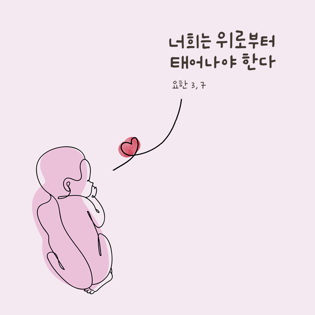 너희는 위로부터 태어나야 한다. (요한 3,7) by 피어나네 성경 말씀 카드 성경구절 이미지