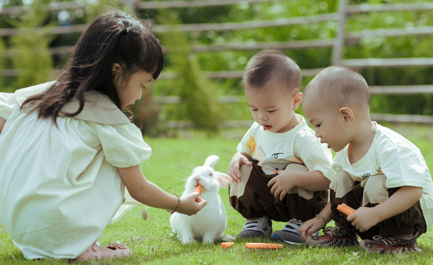 토끼 먹이 주며 놀고 있는 아이들