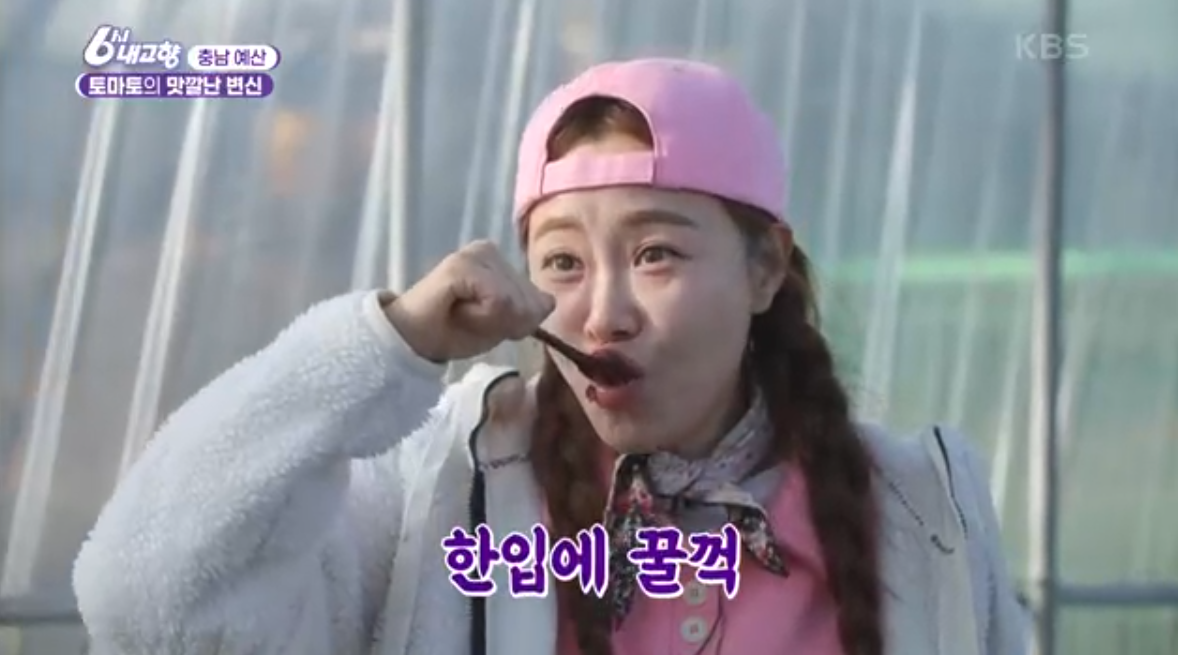 6시내고향 k맛집