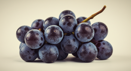 포도