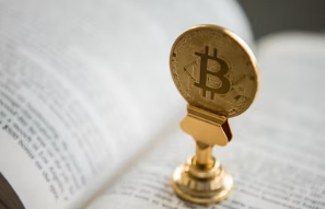 알트코인 이란 알트코인 종류 시총순위