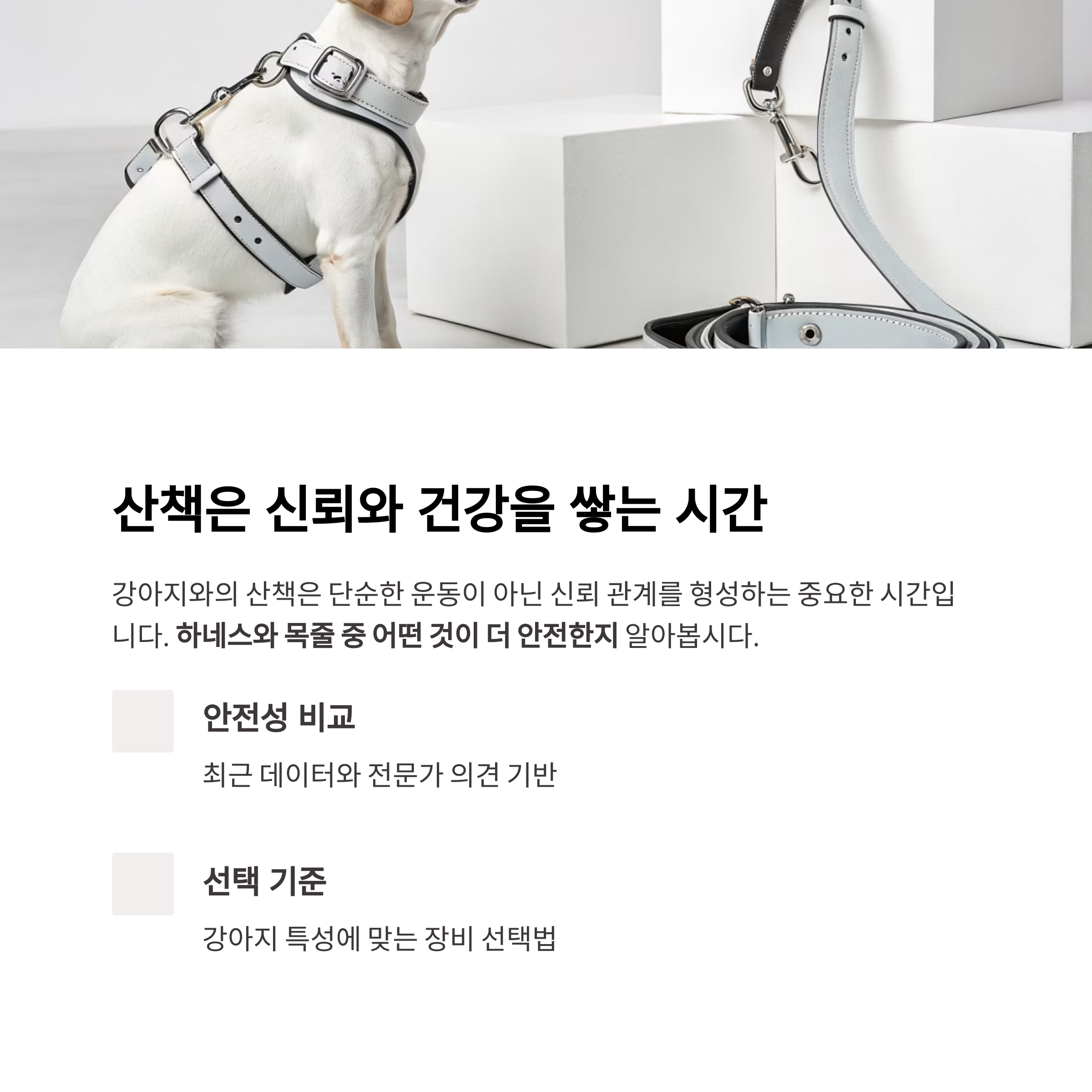 산책은 신뢰와 건강을 쌓는 시간