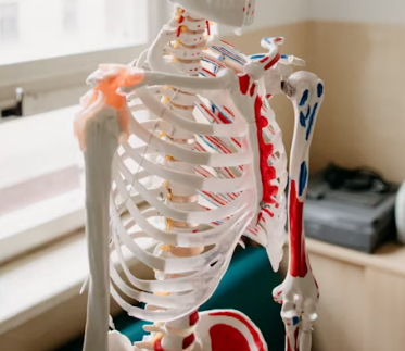 골다공증 초기증상 원인 치료방법