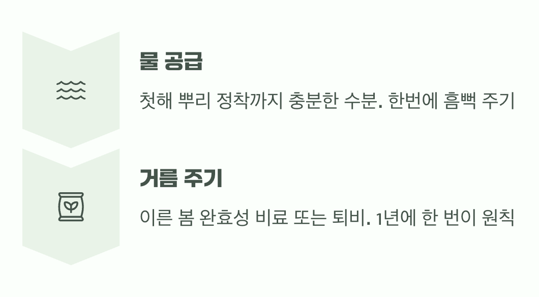 성장의 연료, '물'과 '거름'