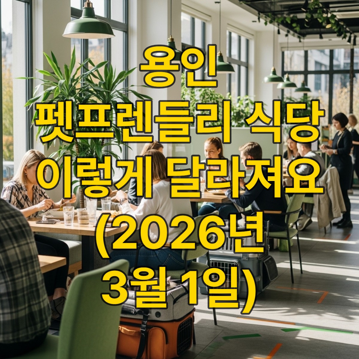 2026년 용인시 반려동물 동반 음식점에서 반려인과 비반려인이 조화롭게 식사하는 모습. 깨끗하고 모던한 공간에서 강아지와 고양이가 전용 공간에 머물고 있다.