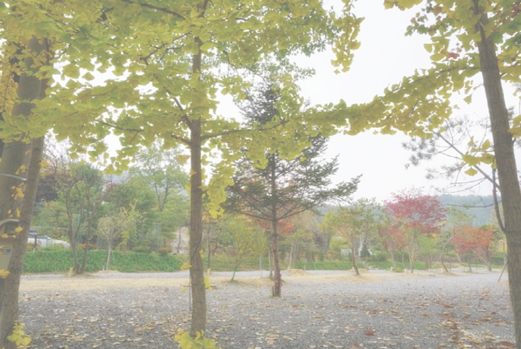 양평수목원캠핑장