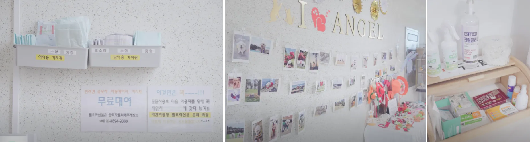 엔젤하우스 펜션 사진