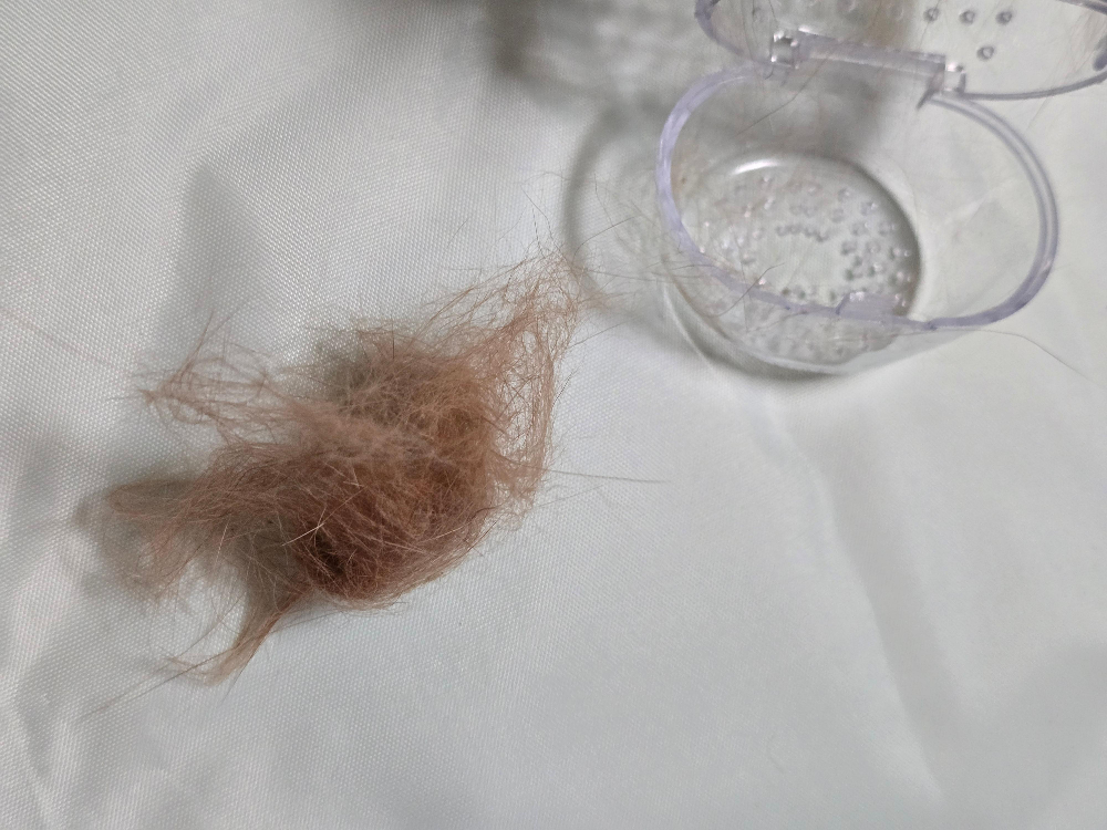 다이소 반려동물 전동 털 흡입기6