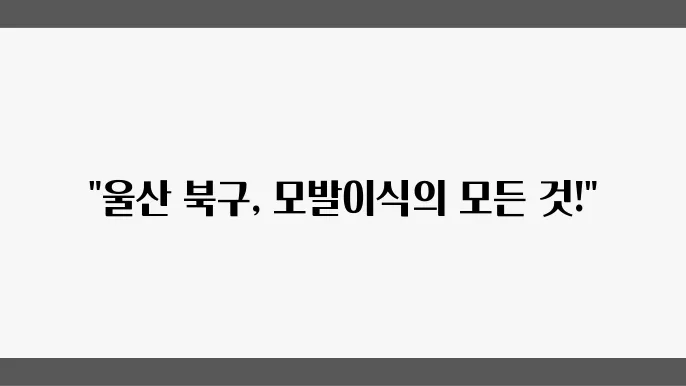 울산 북구 모발이식 잘하는곳, 비용,1000모 2000모 가격 ,모발이식 종류(절개,비절개)