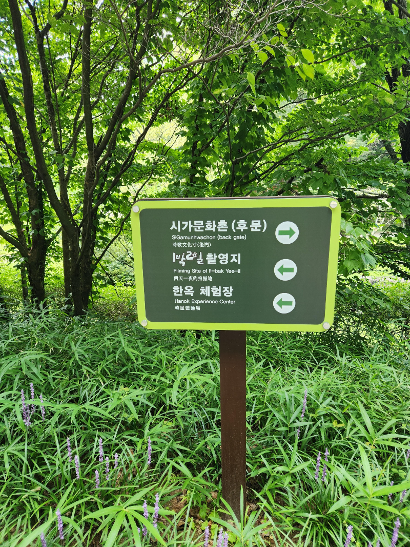 담양 죽녹원