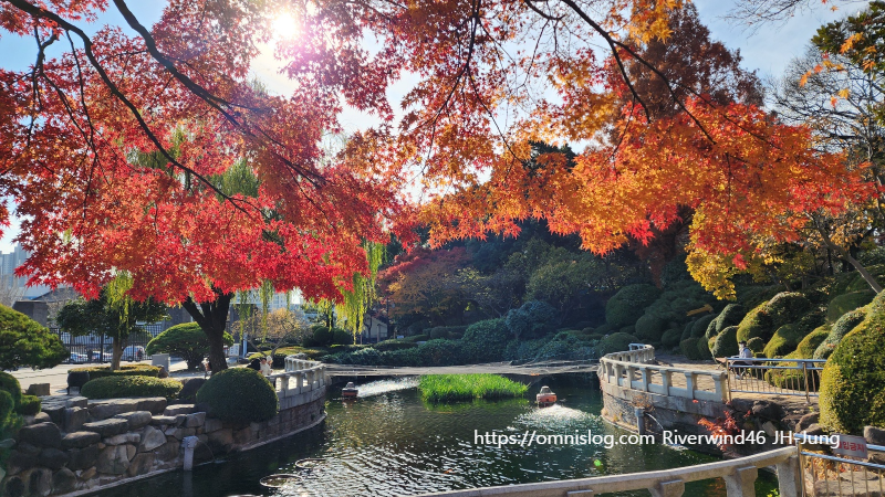 충렬사 연못가의 애기단풍과 수양버들