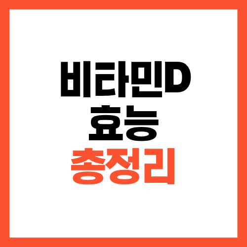 비타민D 효능