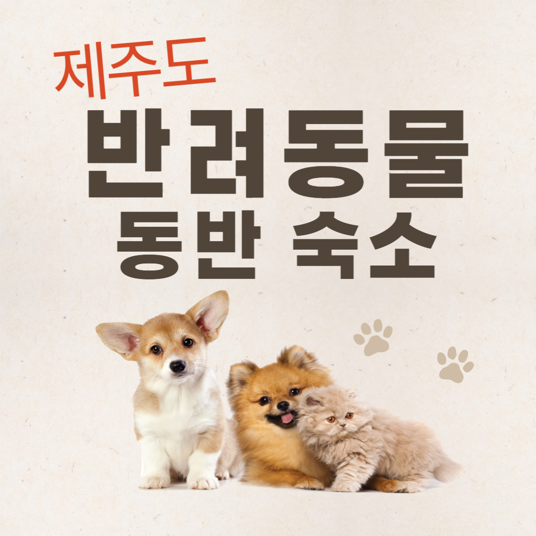 제주도 반려동물 동반 숙소 알아보기