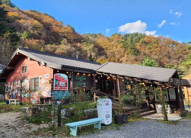 강릉 커피박물관