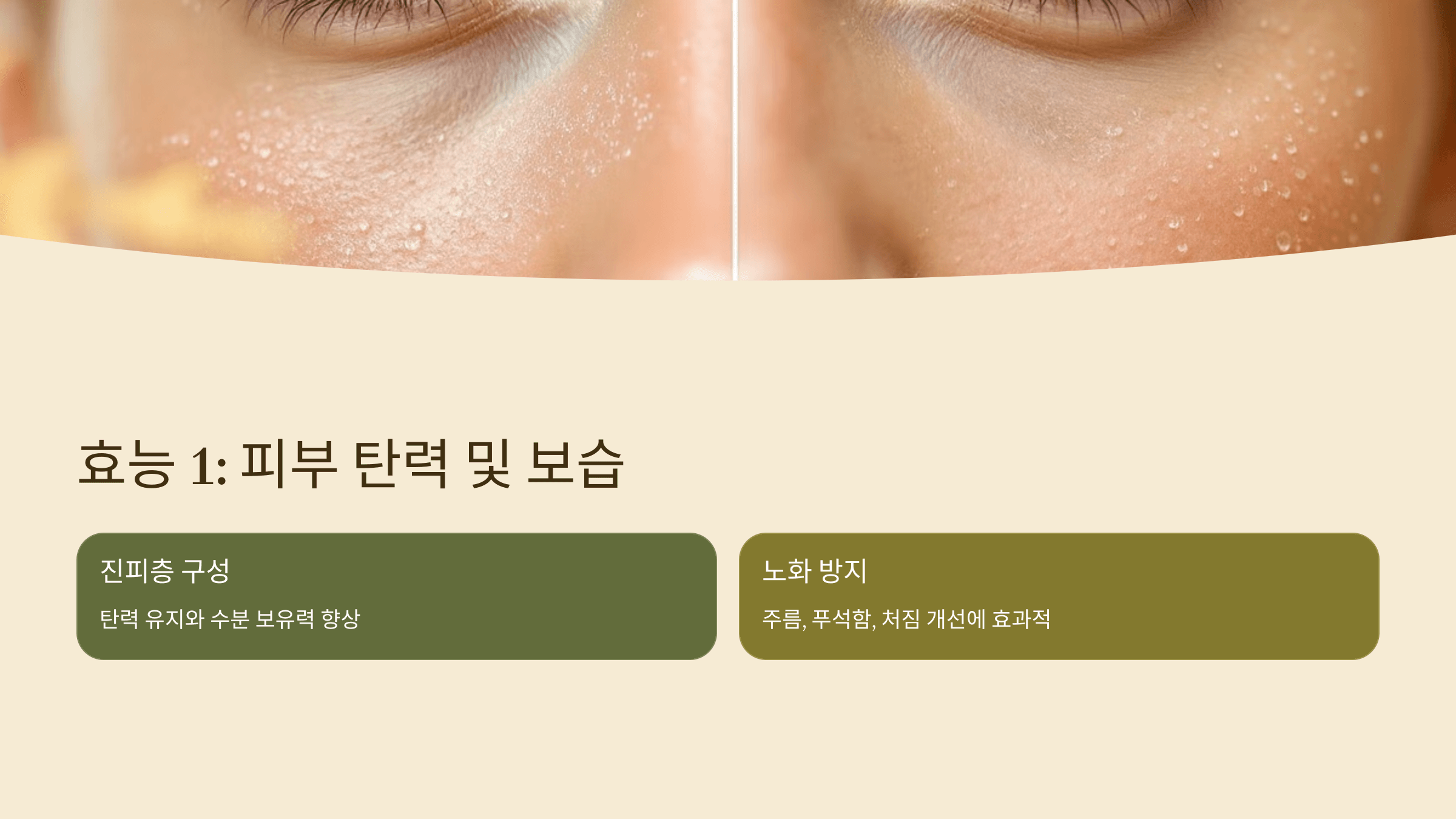 콜라겐 사진입니다.