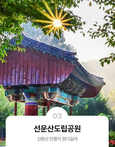 고창벚꽃축제