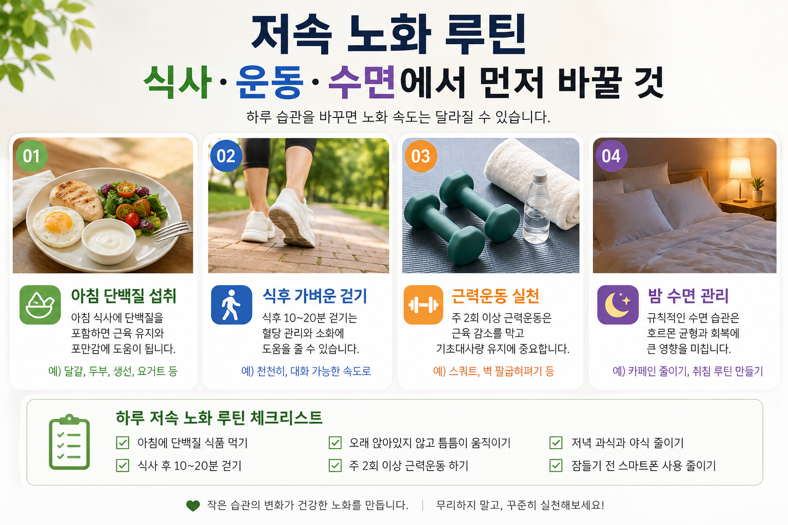 저속노화루틴
