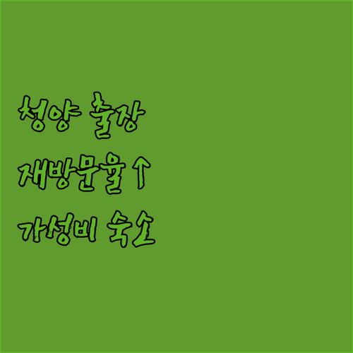 청양 출장객 필독! 포 포인츠 바이