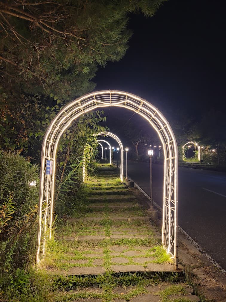 산속에 닭갈비 야간 정원 아치형 산책로