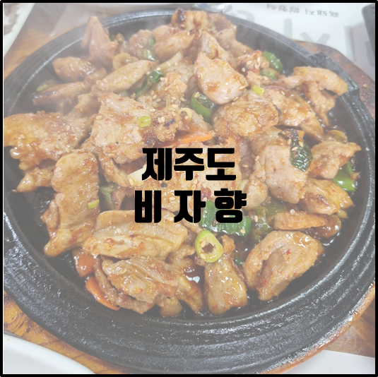 비자향