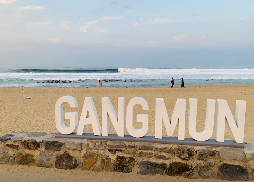 2025 강릉 경포 벚꽃축제