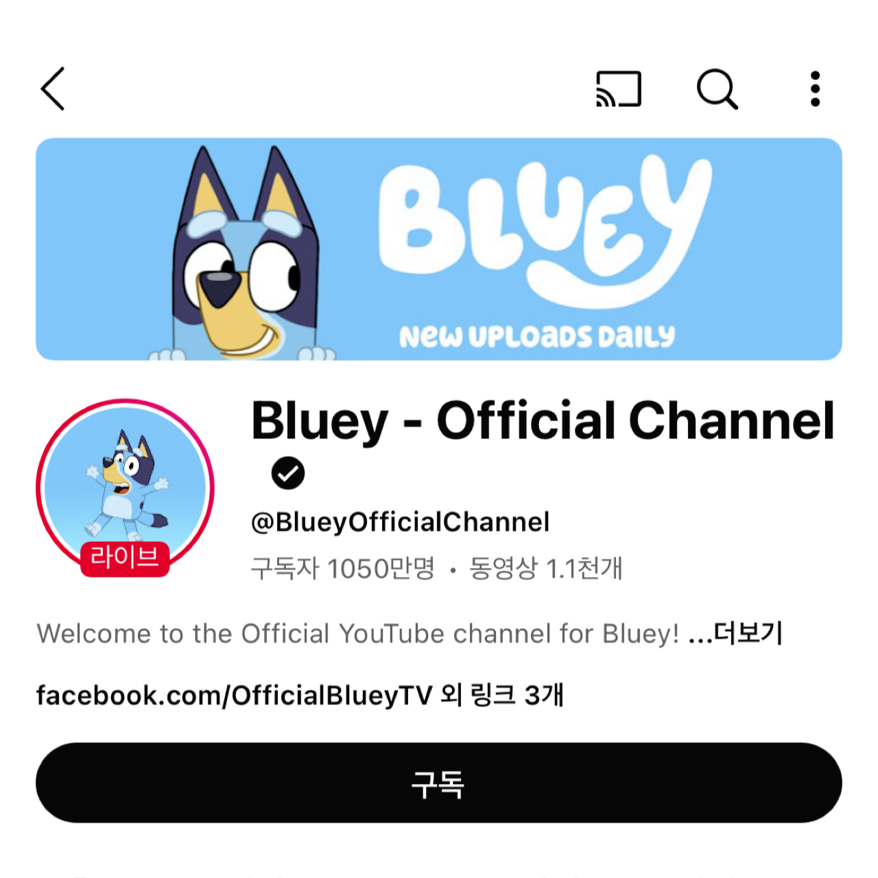 Bluey (블루이)